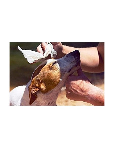 Lingettes humides pour animaux domestiques GILL'S XL 30 x 20 cm 40 Unités