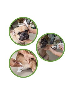 Lingettes humides pour animaux domestiques GILL'S XL 40 uds 30 x 20 cm 2