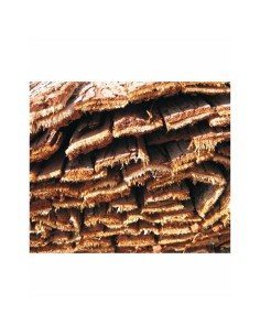 Canisse Faura f27101 Marron Sapin fils de fer écorce d'arbre 1 x 3 m 2