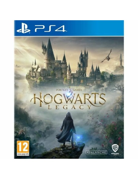 Jeu vidéo PlayStation 4 Warner Games Hogwarts Legacy: The legacy of Hogwarts 