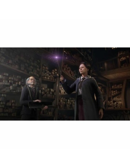 Jeu vidéo PlayStation 4 Warner Games Hogwarts Legacy: The legacy of Hogwarts 