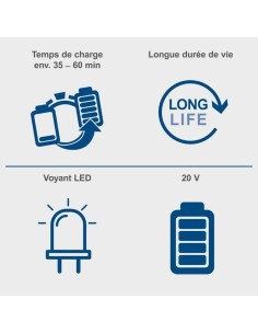 Batterie au lithium rechargeable Scheppach SPB2.0 2