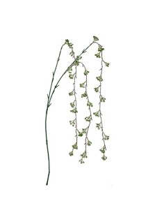 Branche Krist+ BRS5-18057 Vert Fleurs 7 x 5 x 115 cm (12 Unités) 2