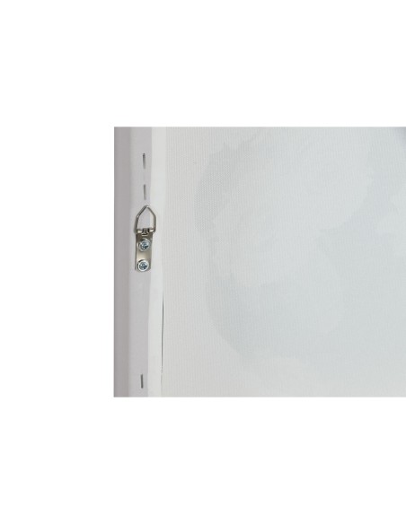 Cadre Home ESPRIT Femme Doré Moderne 70 x 3,7 x 100 cm (2 Unités)