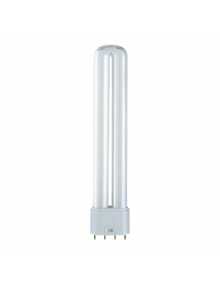 Ampoule à économie d'énergie Patron 36 W G11 4000 K