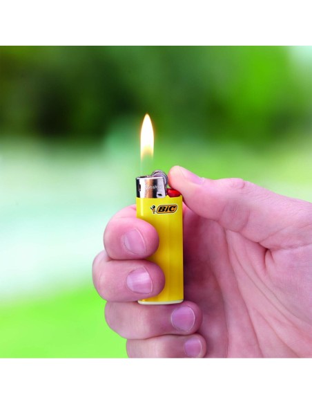 Allume Bic 50 Unités
