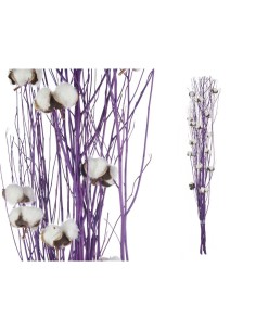 Bouquets Coton Violet 10 x 100 x 18 cm (18 Unités) 2