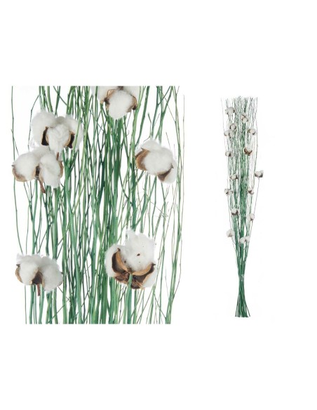 Bouquets Coton Vert 10 x 100 x 18 cm (18 Unités)