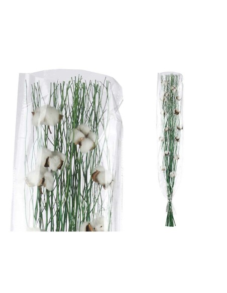 Bouquets Coton Vert 10 x 100 x 18 cm (18 Unités)