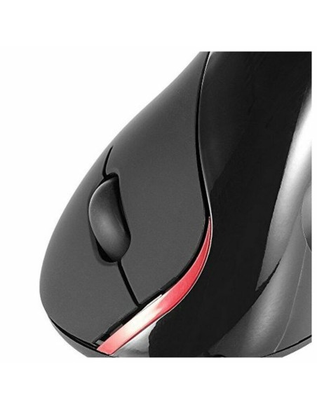 Souris Optique Ergonomique Ewent EW3156 1000 dpi USB Noir Noir/Rouge Rouge/Noir