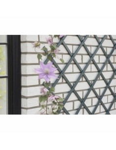 Palissade de Jardin Nature NATURE Anthracite Plastique