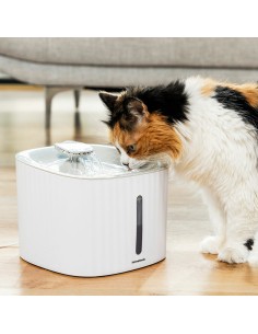 Fontaine pour Animaux de Compagnie InnovaGoods (Reconditionné B) 2