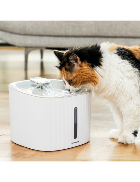 Fontaine pour Animaux de Compagnie InnovaGoods (Reconditionné B)
