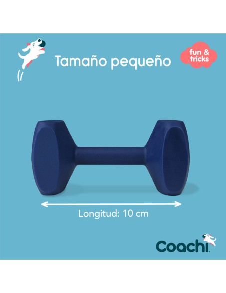 Haltère Coachi TRAINING DUMBBELL Bleu