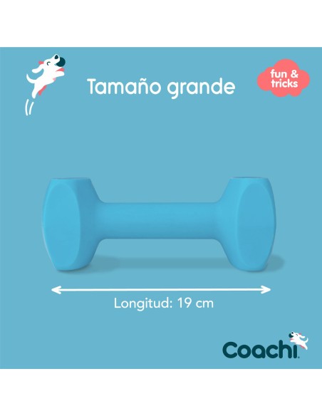 Haltère Coachi TRAINING DUMBBELL Bleu L Plastique