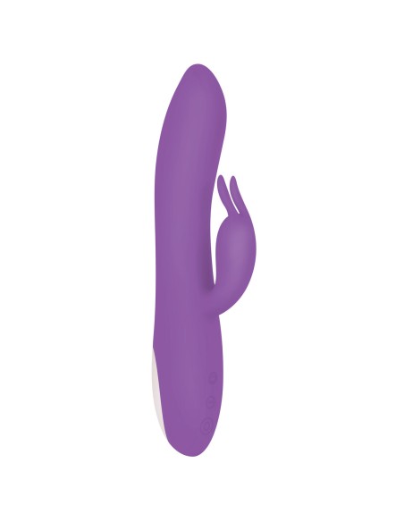 Vibrateur G-Spot Evolved Rabbit Violet