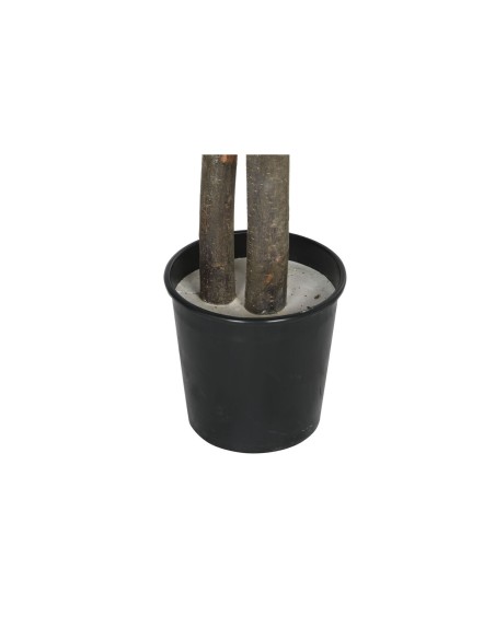 Arbre Home ESPRIT Polyester Bois 100 x 100 x 185 cm