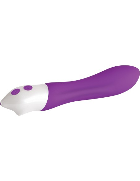 Vibromasseur à boules Evolved Violet