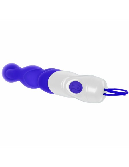 Vibromasseur anal Evolved Violet