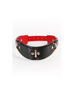 Collier de punition NS Novelties Fetish & Fashion 2