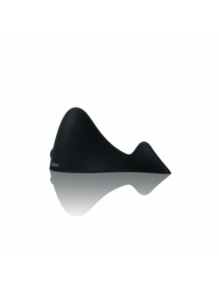 Masseur Whipsmart Noir