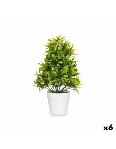 Plante décorative Ibergarden 547 Plastique 18 x 35 x 16 cm (6 Unités)