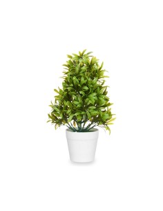 Plante décorative Ibergarden 547 Plastique 18 x 35 x 16 cm (6 Unités) 2