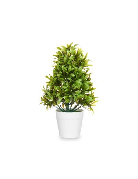 Plante décorative Ibergarden 547 Plastique 18 x 35 x 16 cm (6 Unités)
