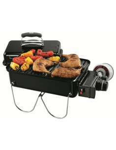 Barbecue Weber Go-anywhere Acier émaillé 2