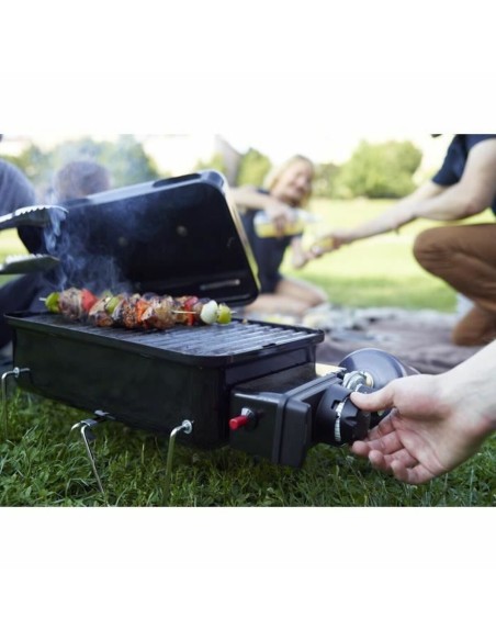 Barbecue Weber Go-anywhere Acier émaillé