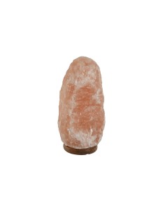 Lampe de bureau Home ESPRIT Rose Sel Bois de manguier 15 W 220 V 17 x 14 x 35 cm