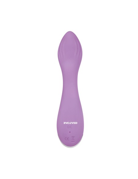 Mini Vibromasseur Evolved Lilac G Rose
