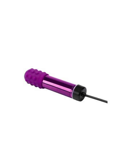 Mini Vibromasseur Le Wand Bullet Violet