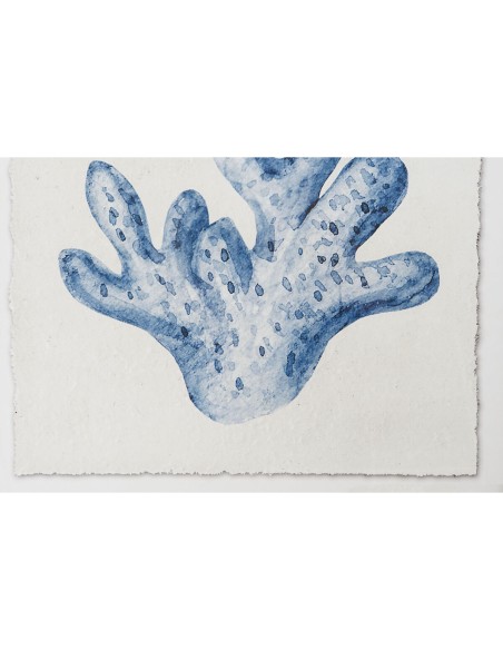 Cadre Home ESPRIT Corail méditerranéen 50 x 2,5 x 50 cm (4 Unités)