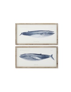 Cadre Home ESPRIT Baleine 70 x 2,5 x 35 cm (2 Unités)