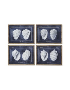 Cadre Home ESPRIT Conque 60 x 2,5 x 45 cm (4 Unités)