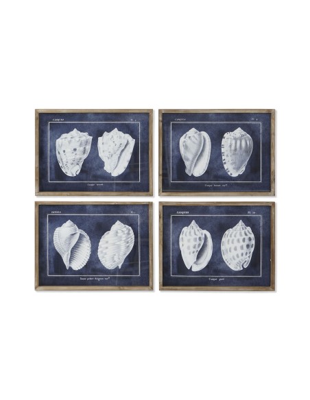 Cadre Home ESPRIT Conque 60 x 2,5 x 45 cm (4 Unités)