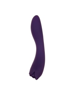 Vibromasseur Evolved Violet