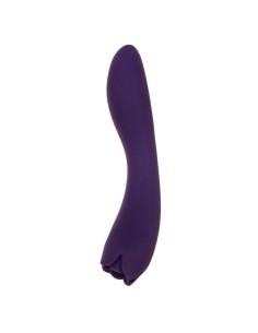 Vibromasseur Evolved Violet 2
