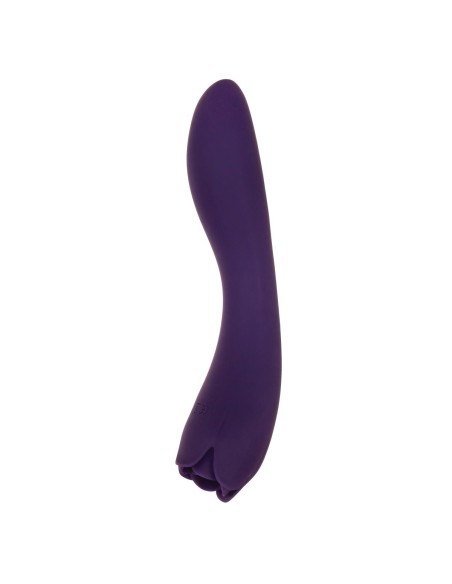 Vibromasseur Evolved Violet