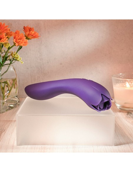 Vibromasseur Evolved Violet