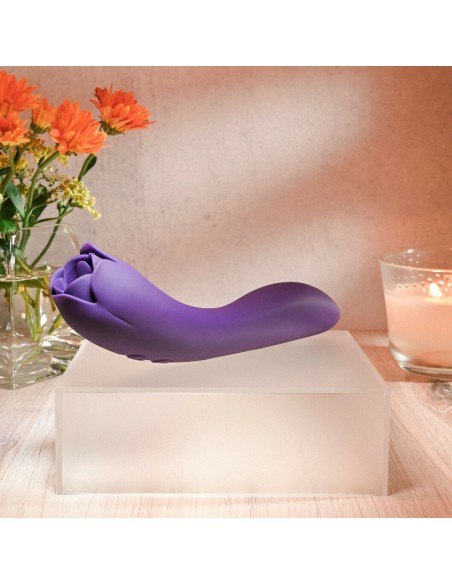 Vibromasseur Evolved Violet