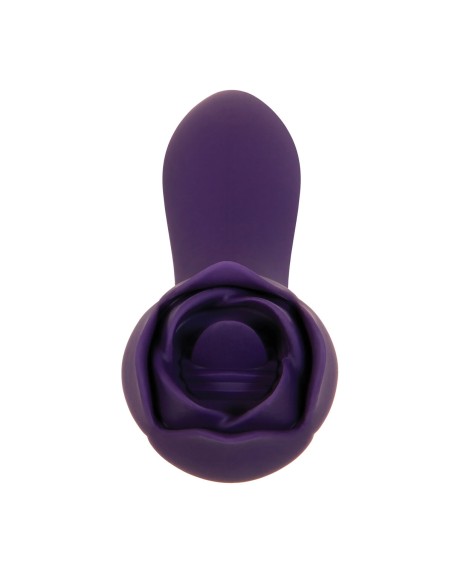 Vibromasseur Evolved Violet