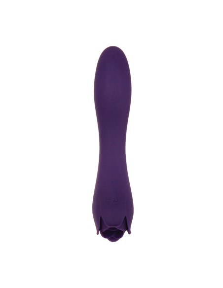 Vibromasseur Evolved Violet