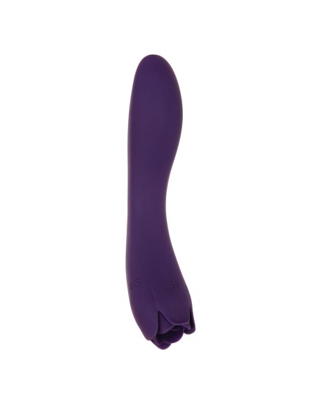 Vibromasseur Evolved Violet