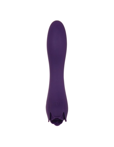 Vibromasseur Evolved Violet