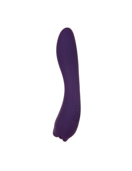 Vibromasseur Evolved Violet