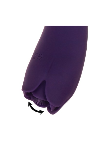 Vibromasseur Evolved Violet