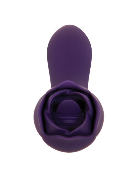 Vibromasseur Evolved Violet