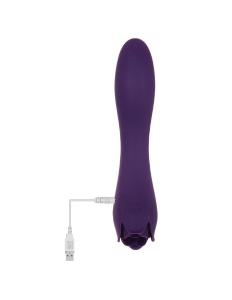 Vibromasseur Evolved Violet